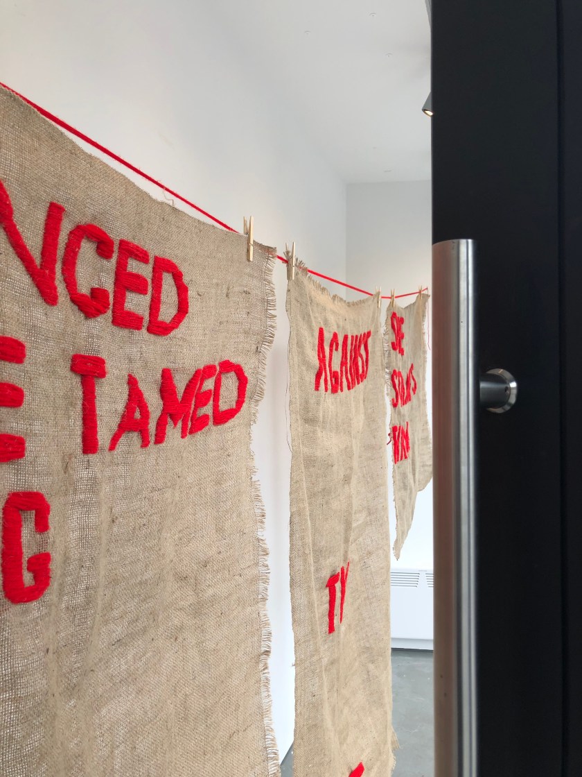 IMG_0910